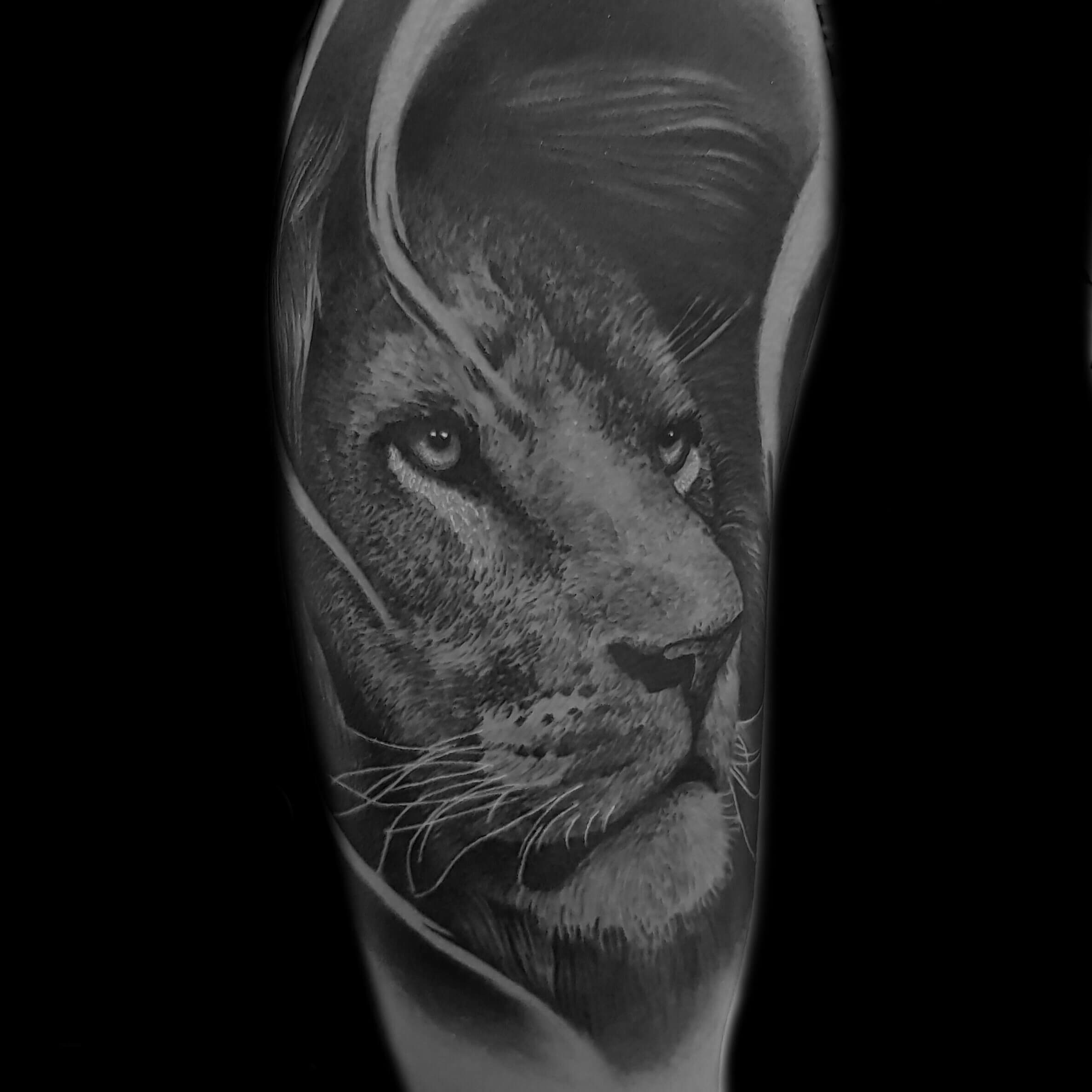 NoColors.de Dein Tattoo Artist in DresdenTattoo Studio Dresden