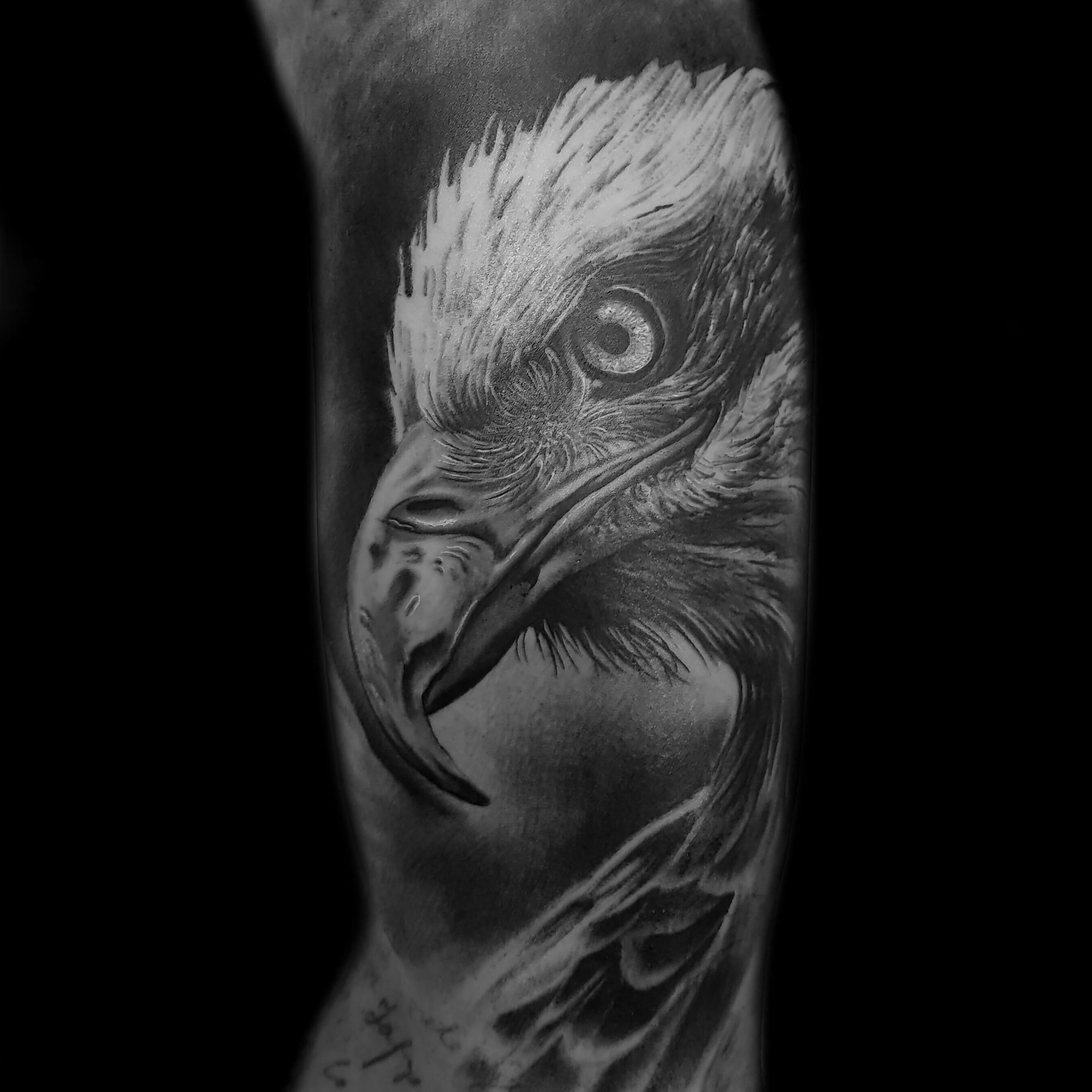 NoColors.de Dein Tattoo Artist in DresdenTattoo Studio Dresden