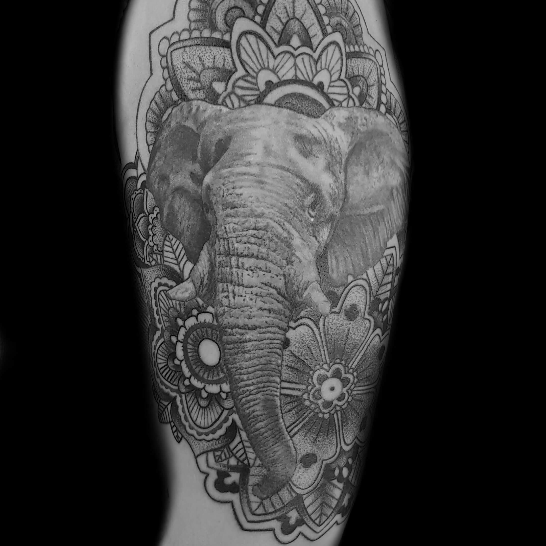 NoColors.de Dein Tattoo Artist in DresdenTattoo Studio Dresden